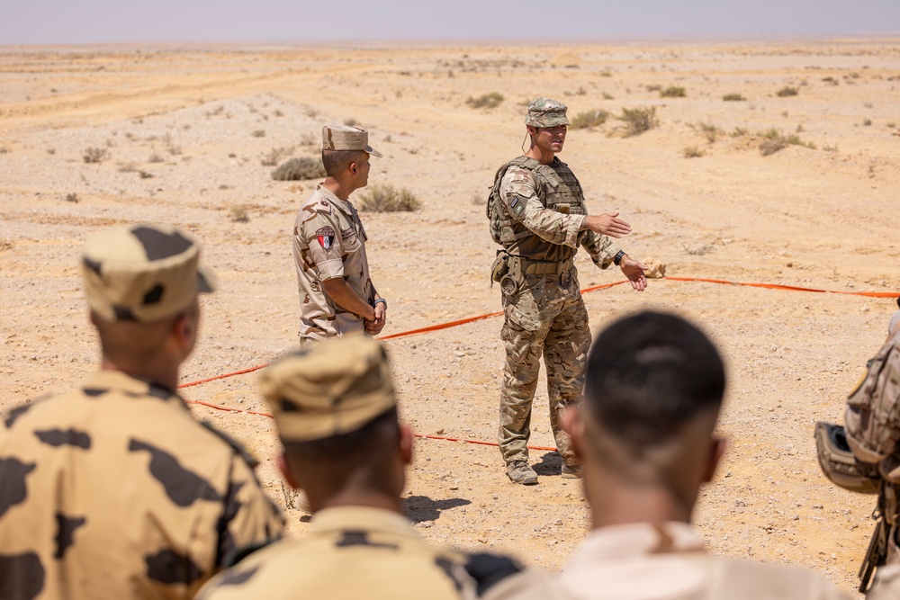 BRIGHT STAR 25: Multinational forces conduct border security operations training