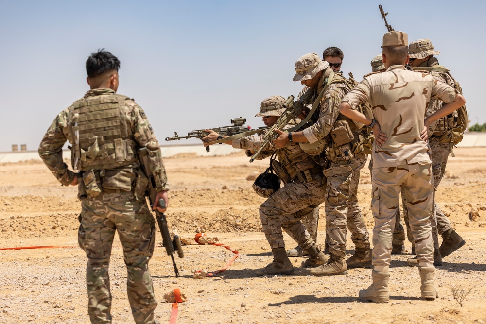 BRIGHT STAR 25: Multinational forces conduct border security operations training