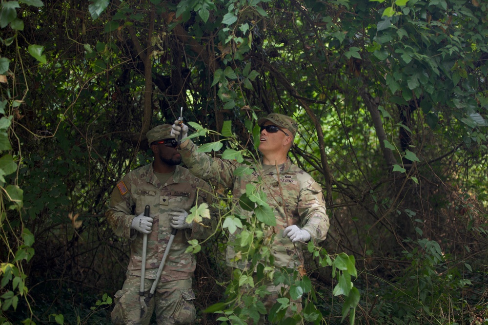 National Guard Supports Safety and Beautification in D.C.
