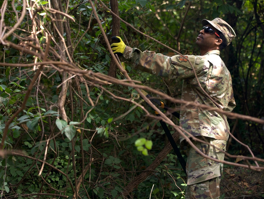 National Guard Supports Safety and Beautification in D.C.