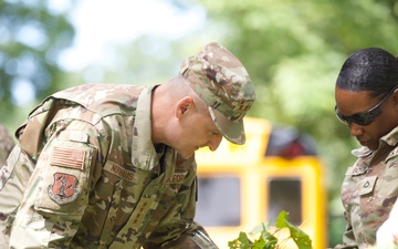 National Guard Supports Safety and Beautification in D.C.
