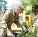 National Guard Supports Safety and Beautification in D.C.