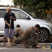Koa Moana 25 Marines Renovate Pohnpei Public Library