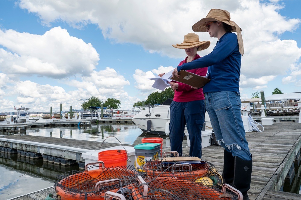 JBAB releases mussels to aid Potomac River