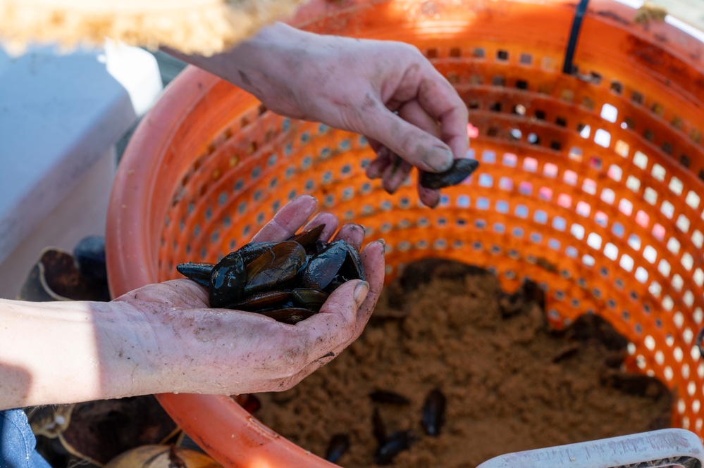 JBAB releases mussels to aid Potomac River