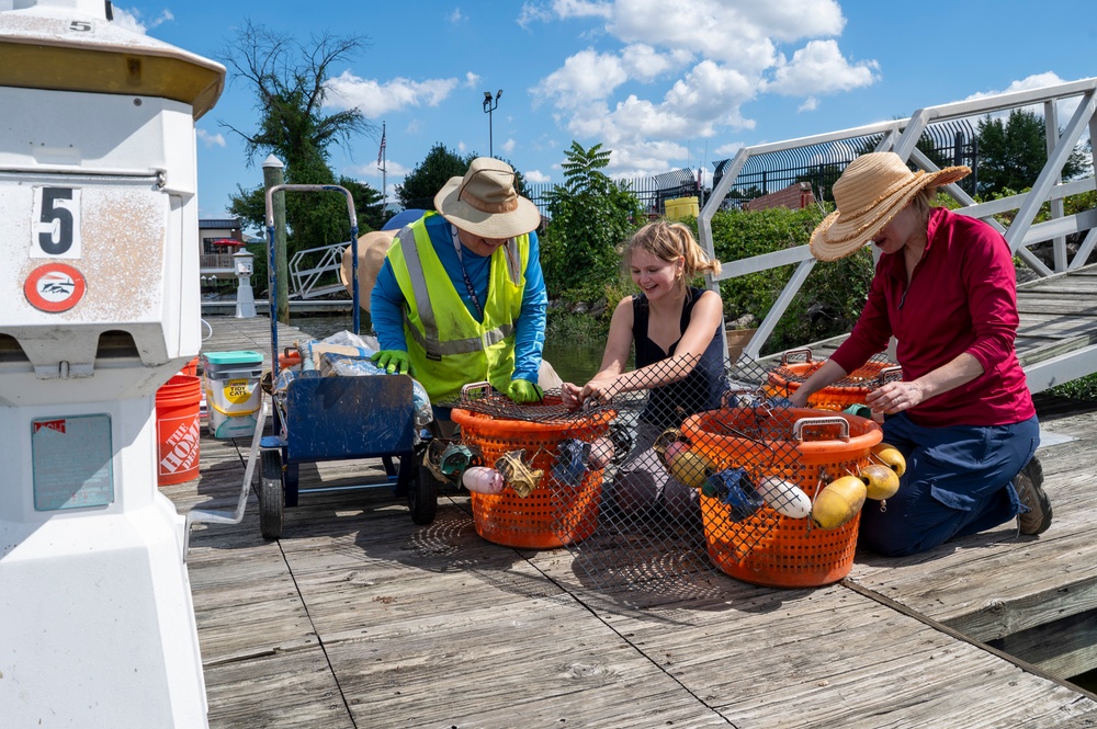 JBAB releases mussels to aid Potomac River
