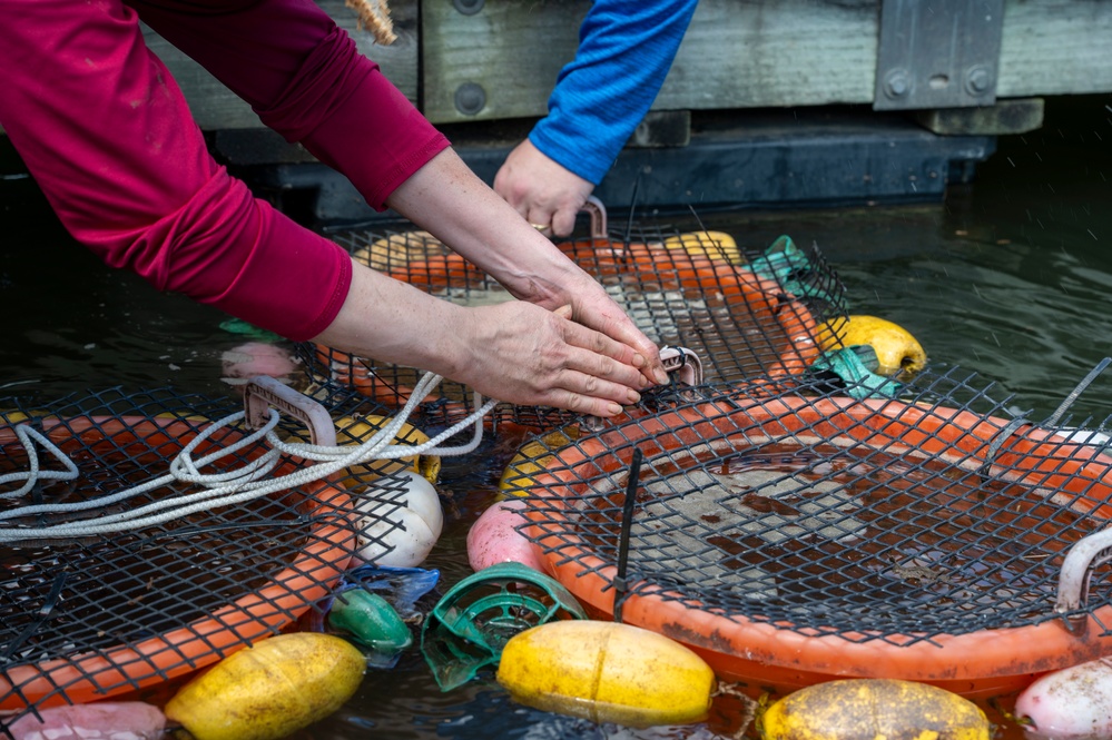 JBAB releases mussels to aid Potomac River