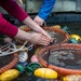 JBAB releases mussels to aid Potomac River
