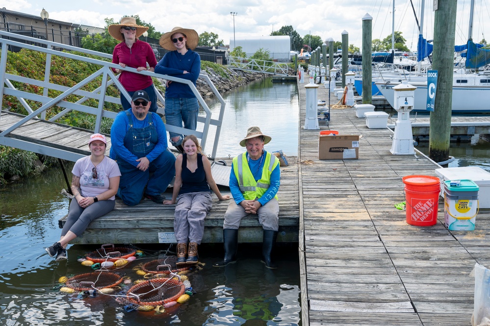 JBAB releases mussels to aid Potomac River