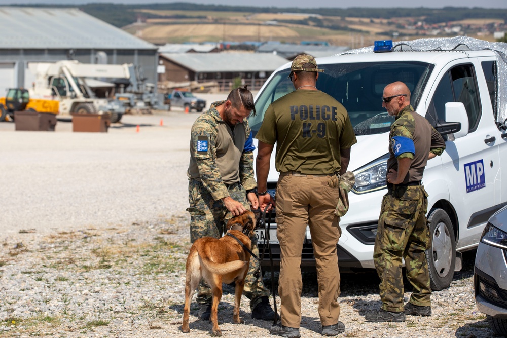 Military Police Canine Training