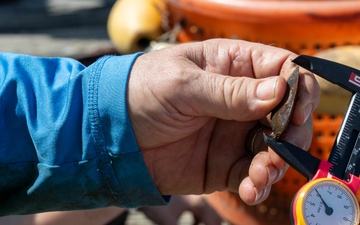 JBAB releases mussels to aid Potomac River