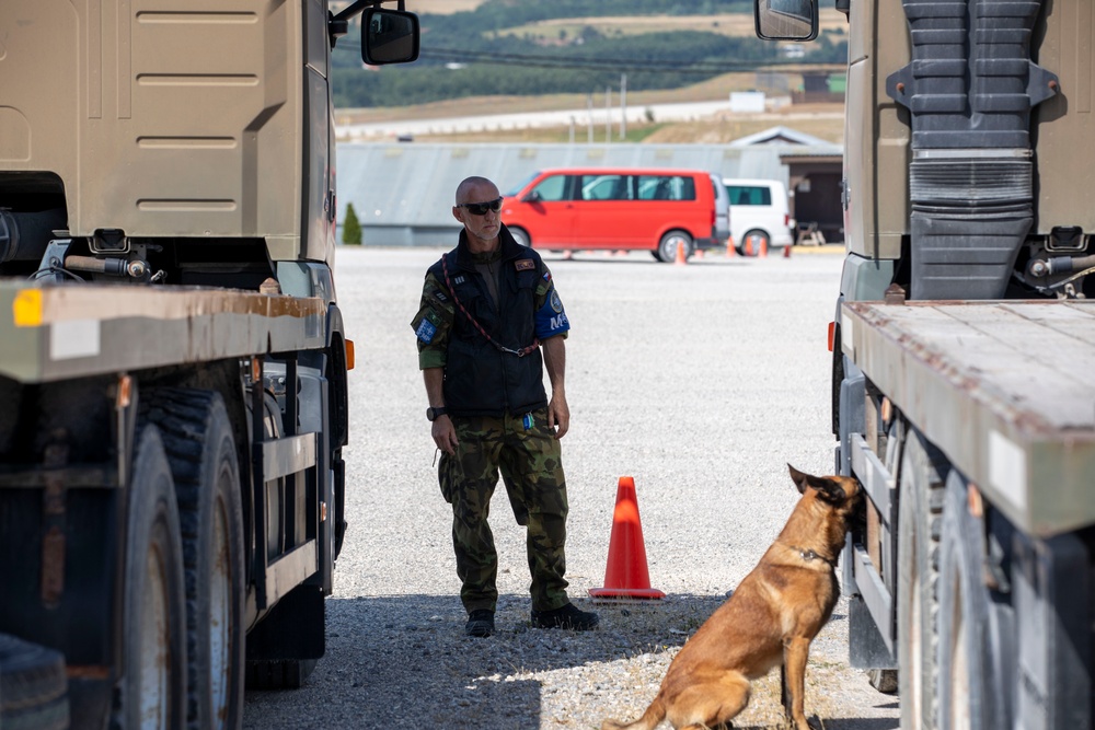 Military Police Canine Training