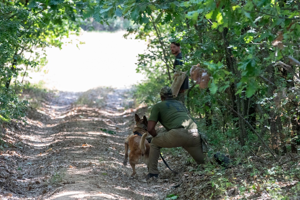 Military Police Canine Training