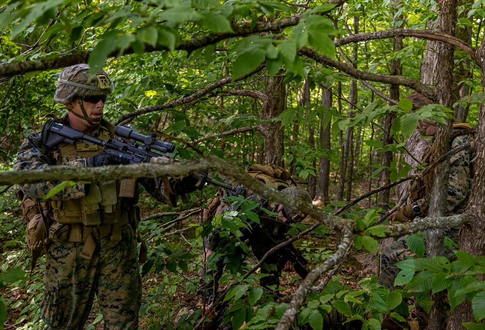 U.S. Marines Conduct an Offensive Raid for Northern Strik