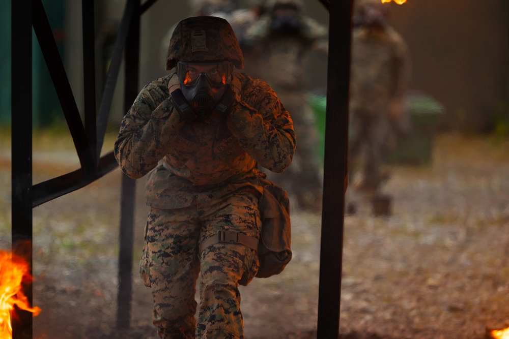 Fire Training in Sweden