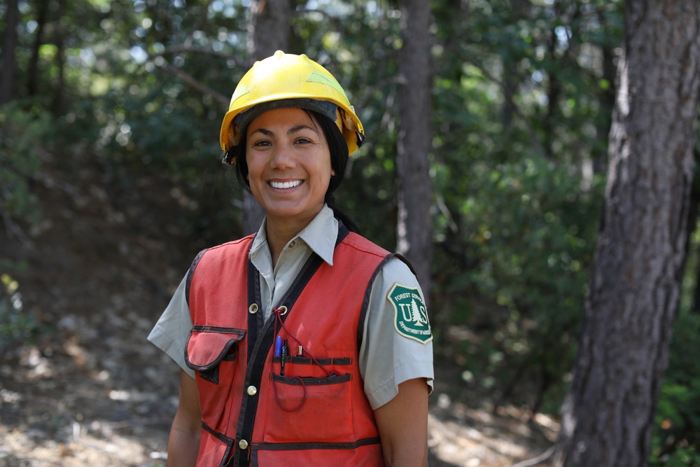 Forestry Technician: A Job with Many Opportunities