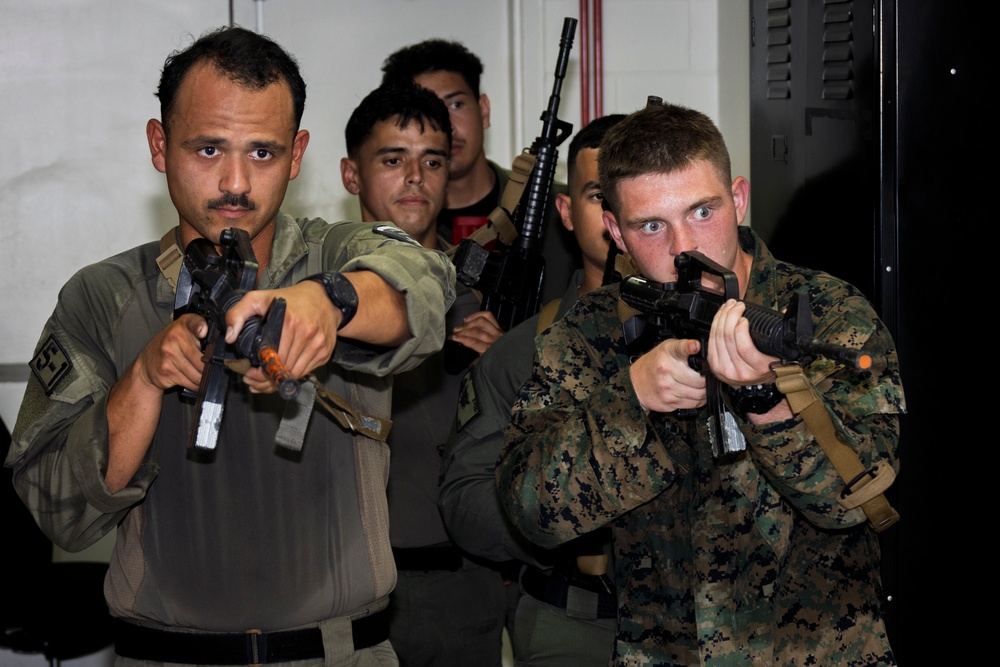 MCAS Miramar Special Reaction Team room clearing and grappling during SRT tryouts
