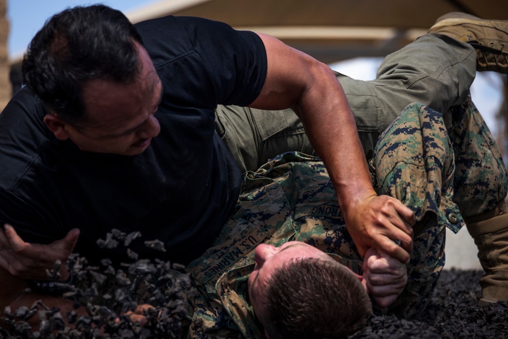 MCAS Miramar Special Reaction Team room clearing and grappling during SRT tryouts