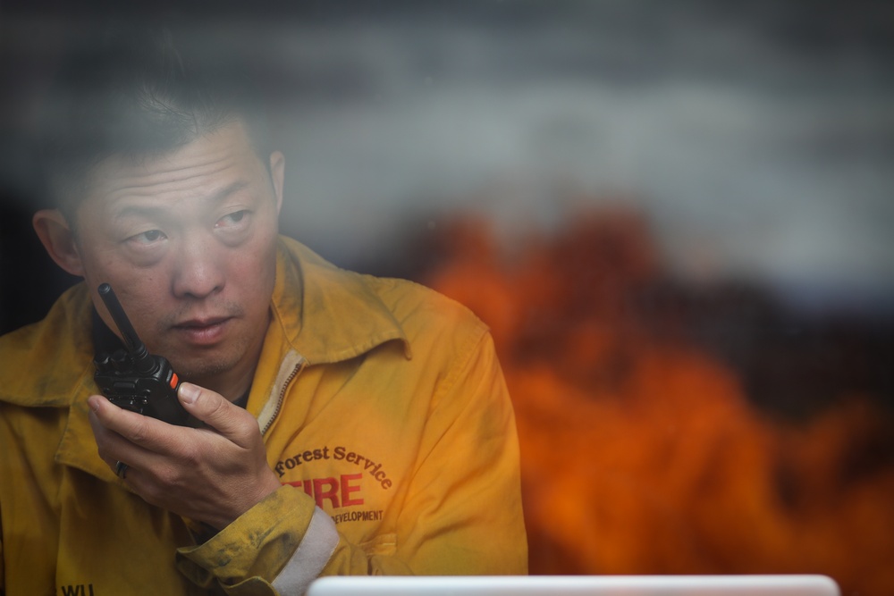 Flame Front Simulator