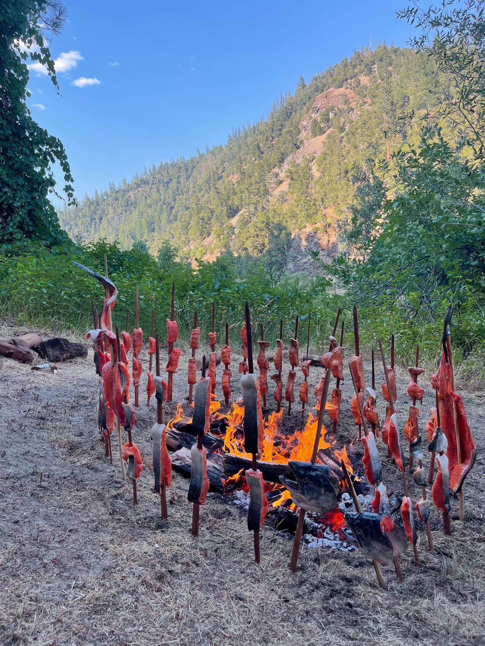 The Meaning of Fire