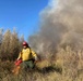 The Meaning of Fire