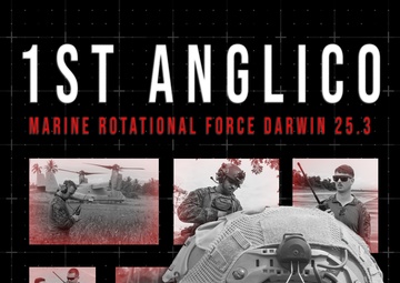 MRF-D 25.3: 1st Air Naval Gunfire Liaison Company