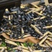 36 SFS sharpens readiness with heavy weapons training