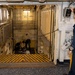 Daily Operations Aboard USS George H.W. Bush (CVN 77)