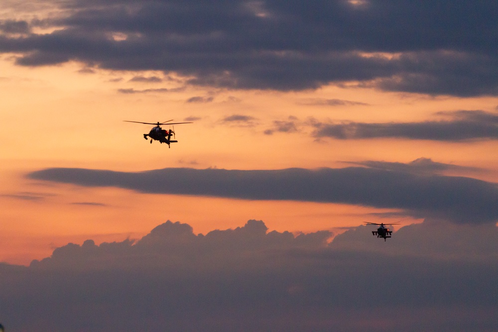 1st Cavalry Division celebrates 104 years 1st Cavalry Division celebrates 104 years