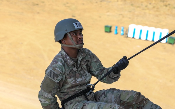 The Sabalauski Air Assault School Conducts the Rappel Tower in Bulgaria