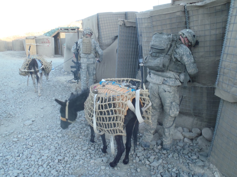 Donkeys carry the load