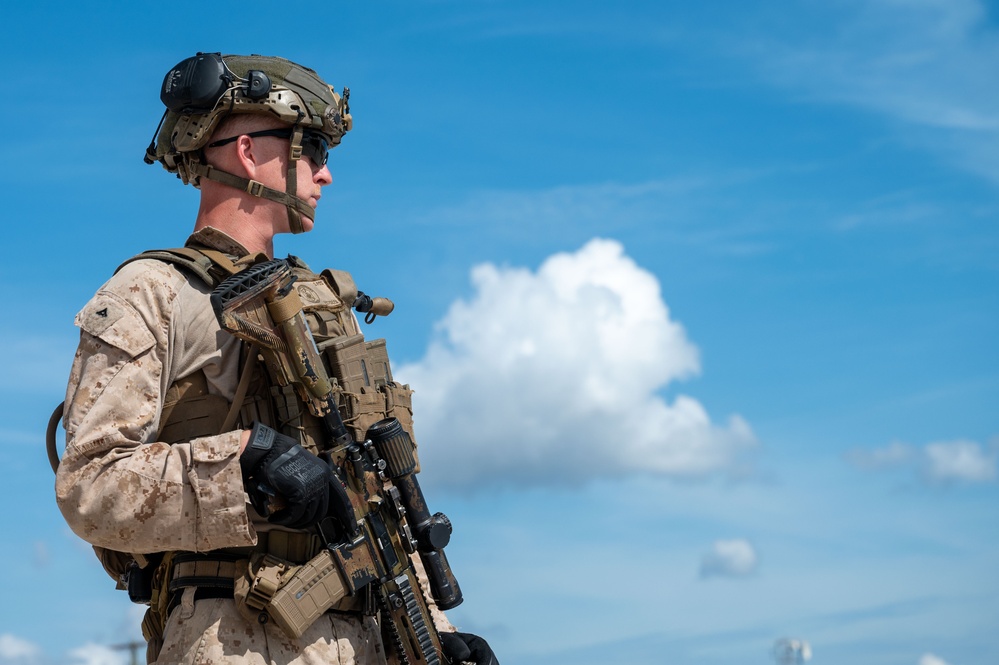 DoD supports DHS for illegal alien removal flight