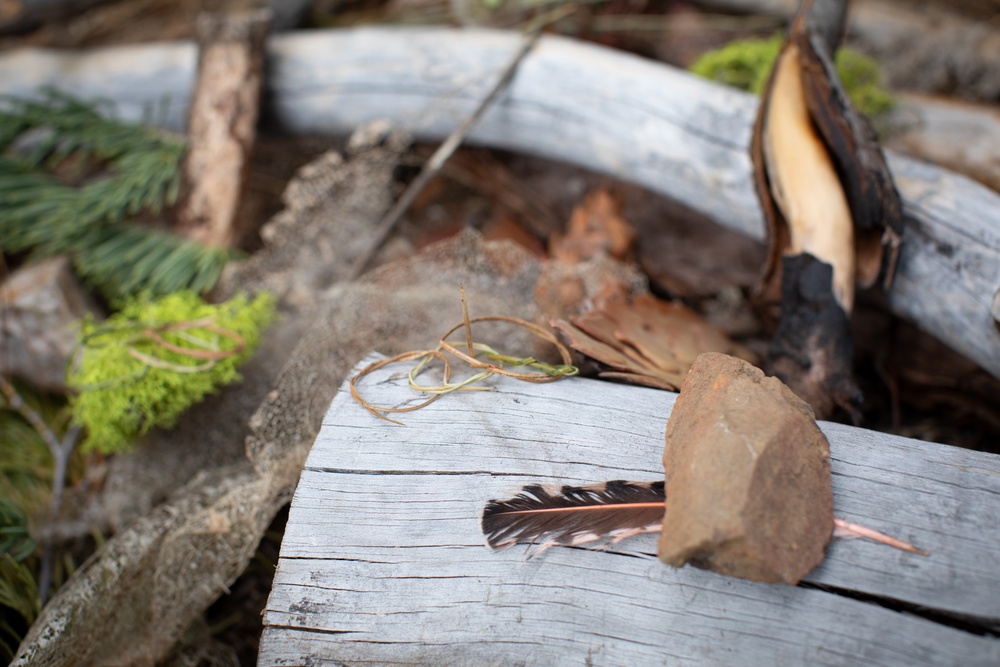 Ecotherapy