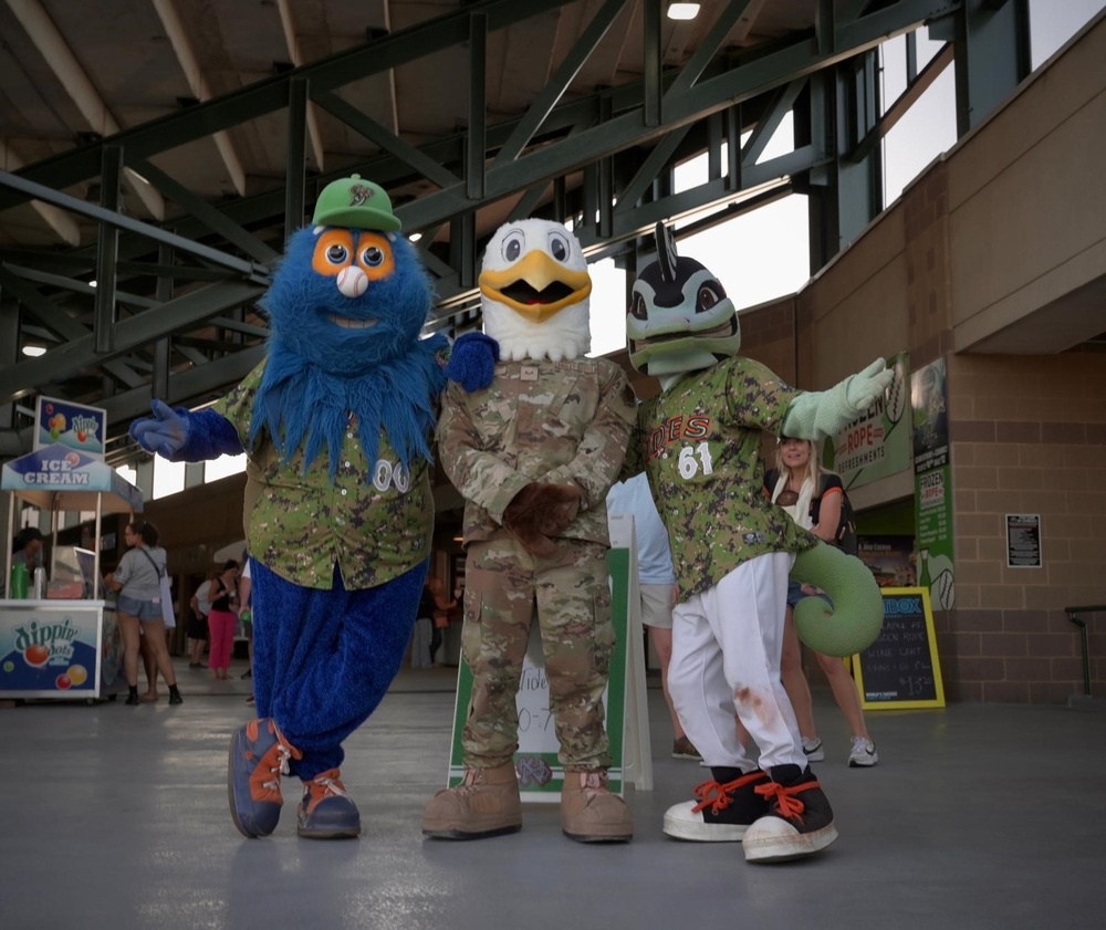 Norfolk Tides Air Force Appreciation Night