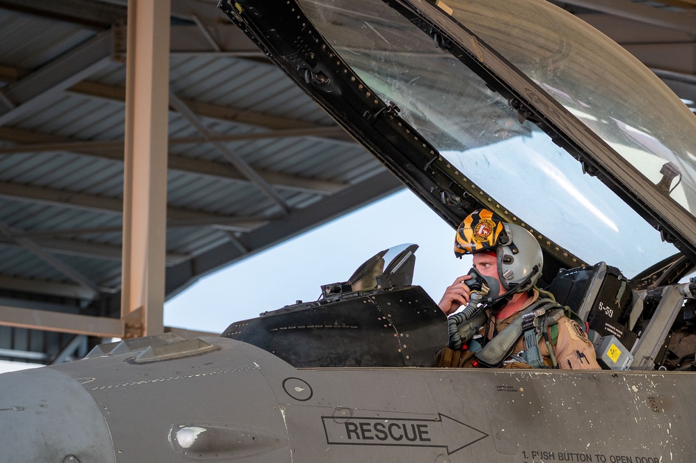 Night Stars at BRIGHT STAR 25: U.S. and Egypt participate in joint COMAO