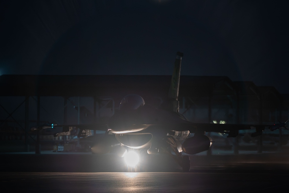 Night Stars at BRIGHT STAR 25: U.S. and Egypt participate in joint COMAO