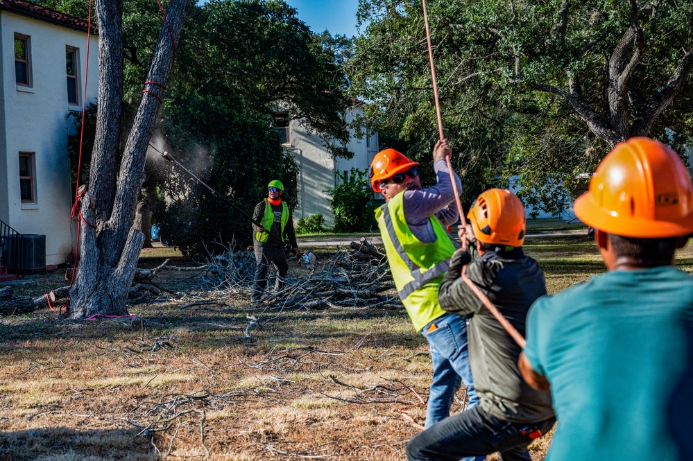 Contractors at JBSA maintain/trim trees at JBSA-Randolph