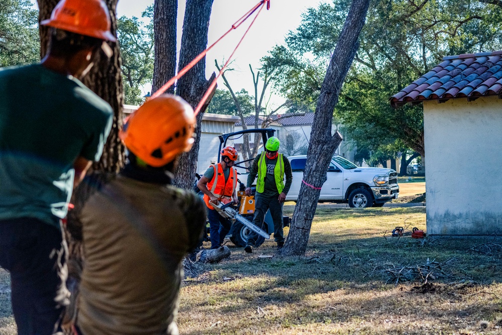 Contractors at JBSA maintain/trim trees at JBSA-Randolph