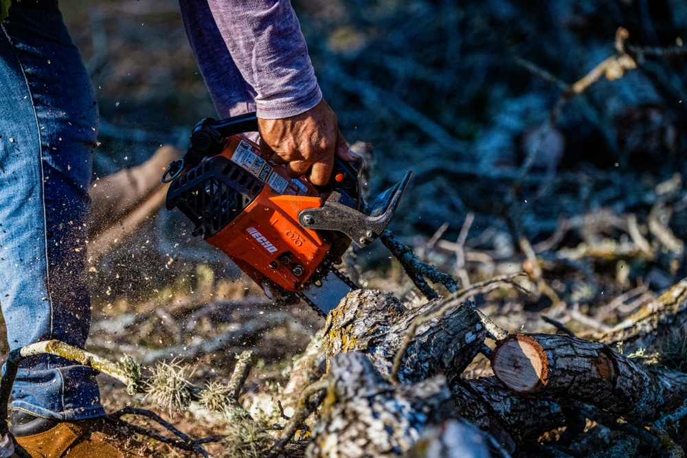 Contractors at JBSA maintain/trim trees at JBSA-Randolph