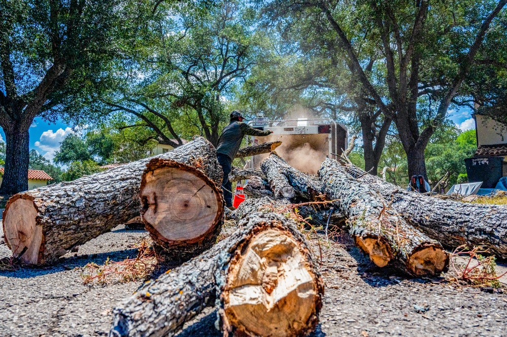 Contractors at JBSA maintain/trim trees at JBSA-Randolph