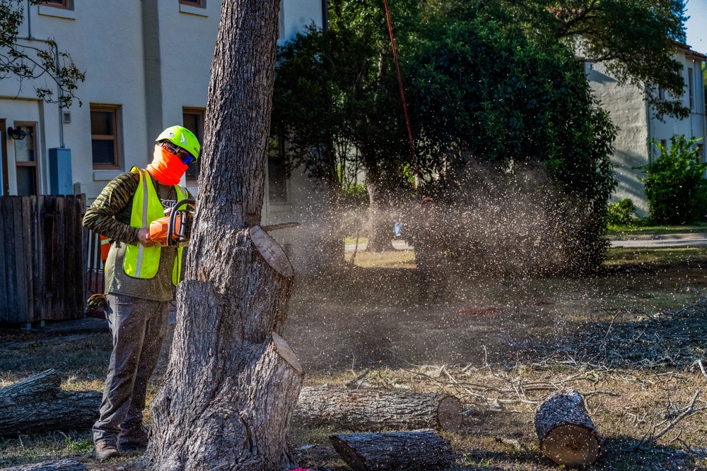 Contractors at JBSA maintain/trim trees at JBSA-Randolph