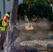 Contractors at JBSA maintain/trim trees at JBSA-Randolph
