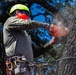 Contractors at JBSA maintain/trim trees at JBSA-Randolph