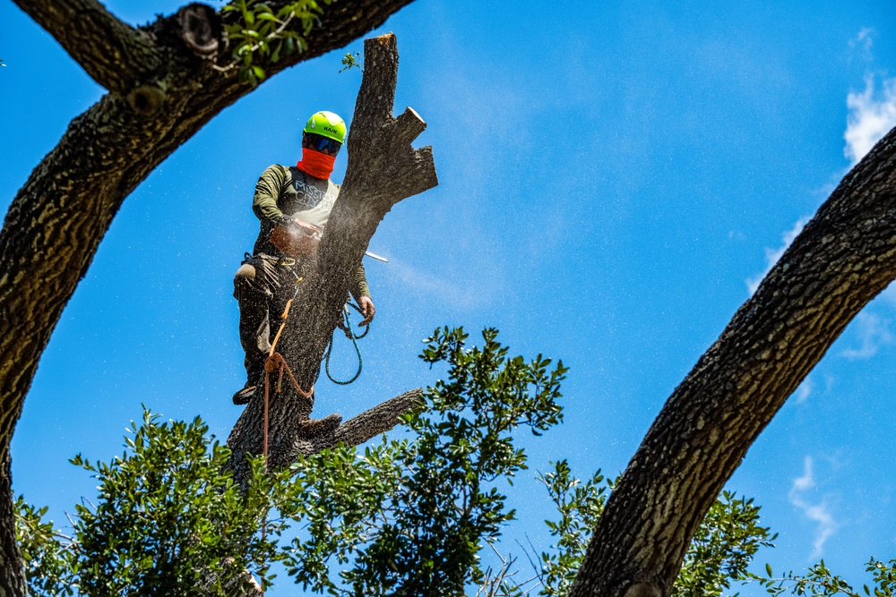 Contractors at JBSA maintain/trim trees at JBSA-Randolph