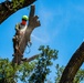 Contractors at JBSA maintain/trim trees at JBSA-Randolph
