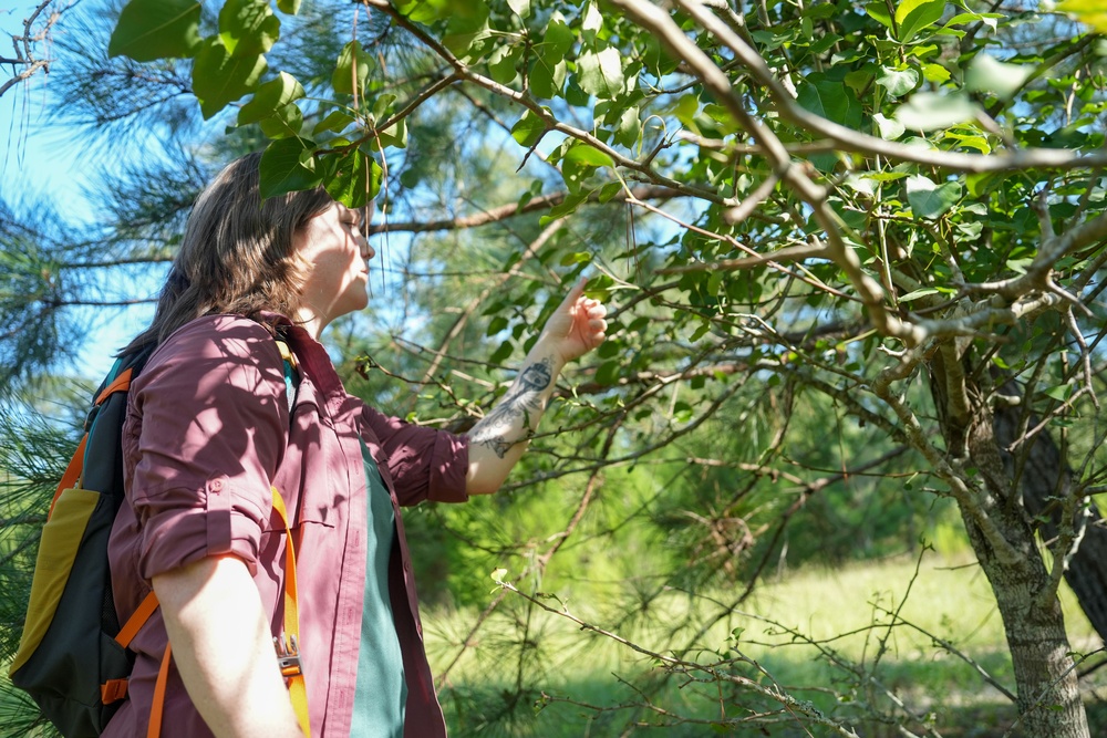 Team Robins environmental office supports mission success through habitat management