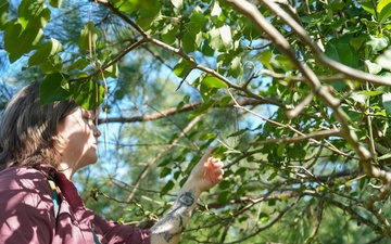 Team Robins environmental office supports mission success through habitat management