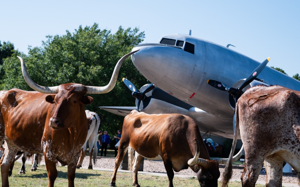 Have you Herd about Altus Air Force Base's Cattle Drive
