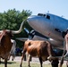 Have you Herd about Altus Air Force Base's Cattle Drive