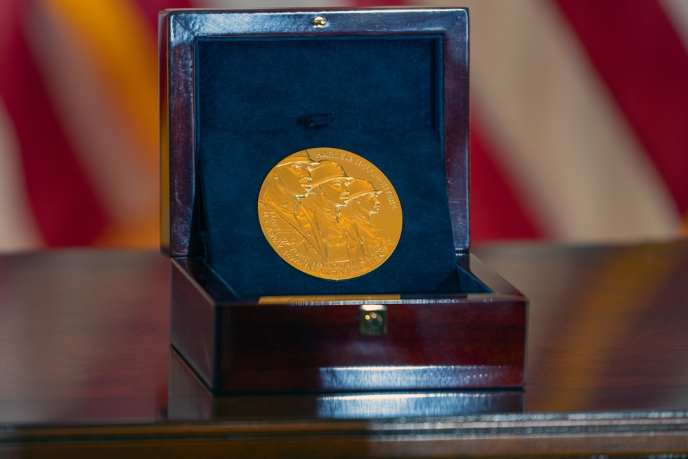 Harlem Hellfighters Congressional Gold Medal Ceremony